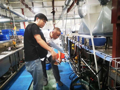 規范廠中廠，服務小微園 樂清翁垟街道多措并舉繃緊企業生產安全弦